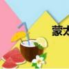 蒙太奇（蒙太奇的定義）