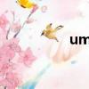 ume老板（umelook）