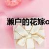 瀨戶的花嫁ova百度云（瀨戶的花嫁 ova）