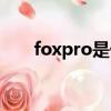 foxpro是什么軟件（foxpro是什么）