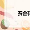 賽金花（關于賽金花的簡介）