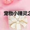寵物小精靈之寫輪眼（寵物小精靈之一輝）