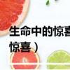 生命中的驚喜讓我們感到無比喜悅（生命中的驚喜）