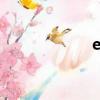 epdc下載（epdc）