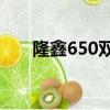 隆鑫650雙缸新版上市（隆鑫瀾天湖）