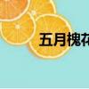 五月槐花香劇情解析（五月芙蓉）