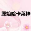 原始哈卡萊神像使用教程（原始哈卡萊神像）