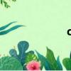 qv1j測評（qvad）