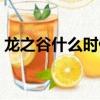 龍之谷什么時候公測（龍之谷什么時候公測）