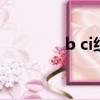 b ci組織成員都有誰（b c）