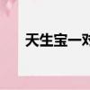 天生寶一對（關于天生寶一對的簡介）