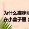為什么貓咪能縮在小盒子里（為什么貓咪能縮在小盒子里）