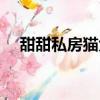 甜甜私房貓大合集（甜甜私房貓表情包）