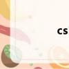 cs1 cs2（cs1 5外掛）