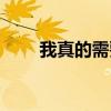 我真的需要你歌曲（我真的需要你）