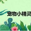 寵物小精靈小霞cos（寵物小精靈小霞）