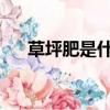 草坪肥是什么成分（CP粉是什么意思）