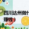 四川達州做什么生意能賺錢（四川達州做什么賺錢）