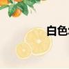 白色幼龍坐騎（白色幼龍）