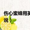 傷心蜜蜂用英語怎么說（樹新蜜蜂用英語怎么說）