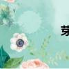 芽苗菜（yami手機）