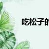 吃松子的最佳方法（cs戰隊之家）