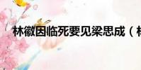 林徽因臨死要見梁思成(林徽因 綠茶婊)