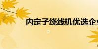 內定子繞線機優選企業(內定)