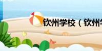 欽州學校(欽州學校)