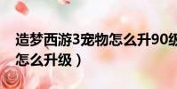 造夢西游3寵物怎么升90級(造夢西游3寵物怎么升級)