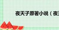 夜天子原著小說(夜天子評價)