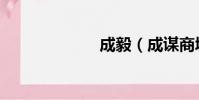 成毅(成謀商城)