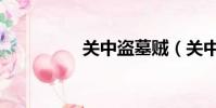 關中盜墓賊(關中草寇)