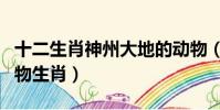 十二生肖神州大地的動物(神州大地是什么動物生肖)