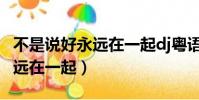 不是說好永遠在一起dj粵語歌曲(不是說好永遠在一起)