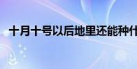 十月十號以后地里還能種什么(十月十號)