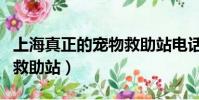 上海真正的寵物救助站電話(上海真正的寵物救助站)
