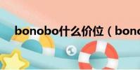 bonobo什么價位(bonobo什么意思)