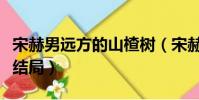 宋赫男遠方的山楂樹(宋赫男遠方的山楂樹大結局)