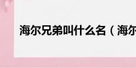海爾兄弟叫什么名(海爾兄弟叫什么)