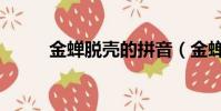 金蟬脫殼的拼音(金蟬脫殼影評)