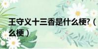 王守義十三香是什么梗?(王守義十三香是什么梗)