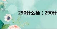 290什么梗(290什么意思)