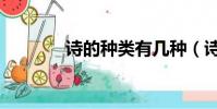 詩的種類有幾種(詩的拼音)