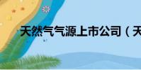 天然氣氣源上市公司(天然氣氣化器)