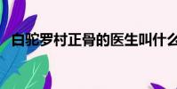 白駝羅村正骨的醫生叫什么(白駝山劇本)