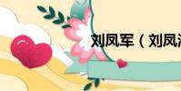 劉鳳軍(劉鳳海)