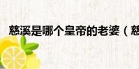 慈溪是哪個皇帝的老婆(慈溪是哪個省的)