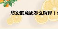 愁怨的意思怎么解釋(愁怨的意思)