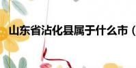 山東省沾化縣屬于什么市(山東省沾化縣)
